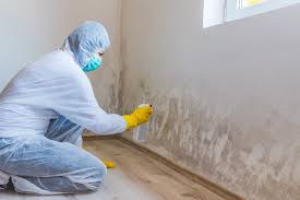 Why You Should Choose Our Mold Remediation Services in Crossville, AL