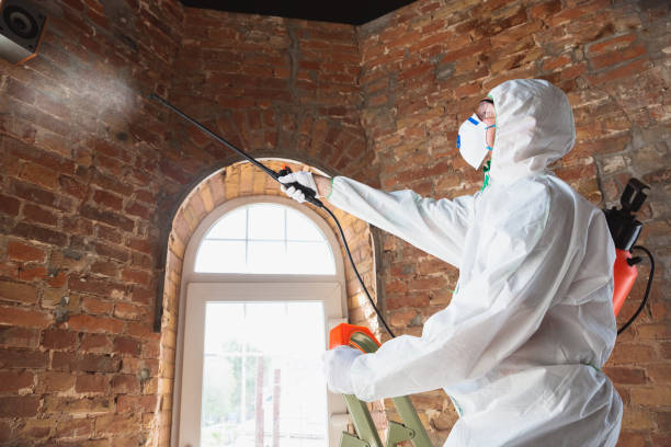 Biohazard Mold Removal in Crossville, AL