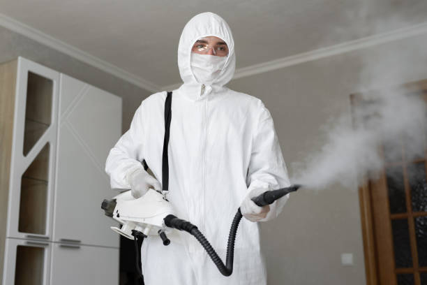 Mold Odor Removal Services in Crossville, AL